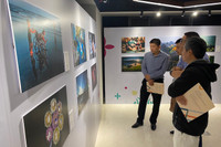 Di sản văn hóa Việt Nam tuyệt đẹp qua những bức ảnh 