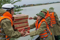 Mệnh lệnh từ trái tim 