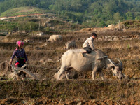 Ngắm 30 tác phẩm về tình mẫu tử của phụ nữ Việt Nam qua triển lãm ảnh 