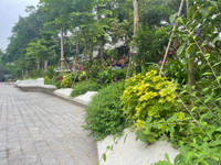 Vườn hoa Vạn Xuân rực rỡ sắc màu thu hút người dân Thủ đô đến vui chơi, thư giãn