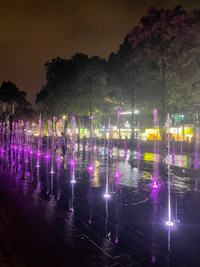 Vườn hoa Vạn Xuân rực rỡ sắc màu thu hút người dân Thủ đô đến vui chơi, thư giãn