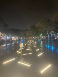 Vườn hoa Vạn Xuân rực rỡ sắc màu thu hút người dân Thủ đô đến vui chơi, thư giãn