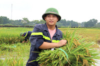 Áo xanh - cầu vai đỏ ngâm mình trong biển nước, cứu lúa giúp người dân