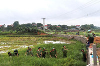 Áo xanh - cầu vai đỏ ngâm mình trong biển nước, cứu lúa giúp người dân