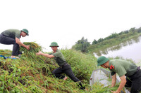 Áo xanh - cầu vai đỏ ngâm mình trong biển nước, cứu lúa giúp người dân