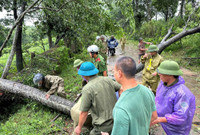 Công an huyện Ba Vì tập trung khắc phục hậu quả cơn bão số 3