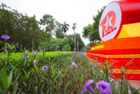 Hà Nội rực rỡ sắc đỏ chào mừng 70 năm ngày Giải phóng Thủ đô