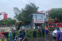 Công an huyện Ba Vì tập trung khắc phục hậu quả cơn bão số 3