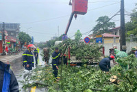 Công an huyện Ba Vì tập trung khắc phục hậu quả cơn bão số 3