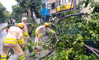 Những hình ảnh xúc động về lực lượng Công an Thủ đô vật lộn với cơn bão Yagi