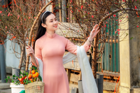 Say đắm vẻ đẹp thiếu nữ Hà Thành bên hoa đào Nhật Tân nở sớm