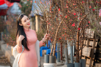 Say đắm vẻ đẹp thiếu nữ Hà Thành bên hoa đào Nhật Tân nở sớm