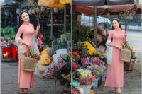 Say đắm vẻ đẹp thiếu nữ Hà Thành bên hoa đào Nhật Tân nở sớm