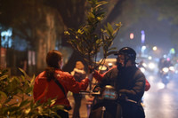 Người dân Thủ đô mua mía lộc, túi muối cầu may đầu năm mới