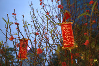 Phố sách xuân Quý Mão rộn ràng ngày mùng 1 Tết