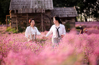 Khám phá thung lũng hoa bách nhật tím hồng đẹp nhất Hà Nội 