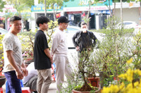 Hà Nội nhộn nhịp ở các chợ hoa ngày giáp Tết