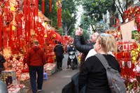 Rực rỡ sắc màu không gian chợ hoa Hàng Lược