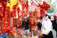 Rực rỡ sắc màu không gian chợ hoa Hàng Lược