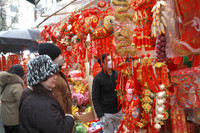 Rực rỡ sắc màu không gian chợ hoa Hàng Lược