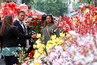 Rực rỡ sắc màu không gian chợ hoa Hàng Lược