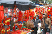 Rực rỡ sắc màu không gian chợ hoa Hàng Lược