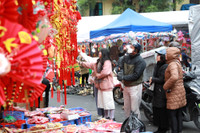 Rực rỡ sắc màu không gian chợ hoa Hàng Lược