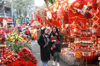 Rực rỡ sắc màu không gian chợ hoa Hàng Lược