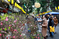 Rực rỡ sắc màu không gian chợ hoa Hàng Lược