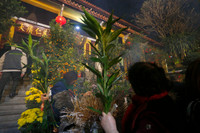 Người dân Hà Nội đi chùa cầu an trong đêm giao thừa