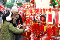 Rực rỡ sắc màu không gian chợ hoa Hàng Lược