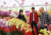 Hà Nội nhộn nhịp ở các chợ hoa ngày giáp Tết