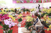 Hà Nội nhộn nhịp ở các chợ hoa ngày giáp Tết