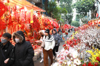 Rực rỡ sắc màu không gian chợ hoa Hàng Lược