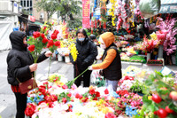 Rực rỡ sắc màu không gian chợ hoa Hàng Lược