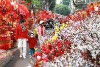 Rực rỡ sắc màu không gian chợ hoa Hàng Lược