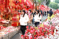 Rực rỡ sắc màu không gian chợ hoa Hàng Lược