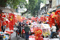 Rực rỡ sắc màu không gian chợ hoa Hàng Lược