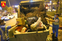 Đêm giao thừa của những công nhân môi trường