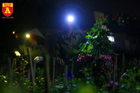 Đêm trắng ở làng hoa Khương Hạ