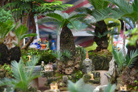 Ngắm bonsai mini giá hàng chục triệu đồng ở Hà Nội