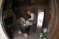 Hương vị Tết cổ truyền ở Đường Lâm