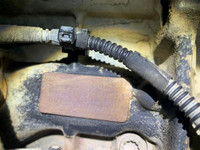 [Ảnh] Cận cảnh chiếc xe Porsche 'trùng