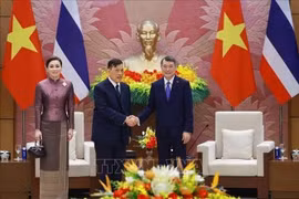 Thủ tướng hội kiến Nhà vua và Hoàng hậu Thái Lan