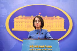 Việt Nam khẳng định mạnh mẽ tình đoàn kết, hữu nghị truyền thống với nhân dân Cuba anh em