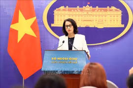 Việt Nam đề nghị các bên liên quan thực hiện nghiêm túc về ứng xử ở Biển Đông