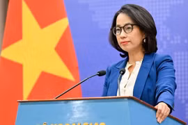 Bộ Ngoại giao: Việt Nam nghiêm cấm mọi hình thức lao động cưỡng bức