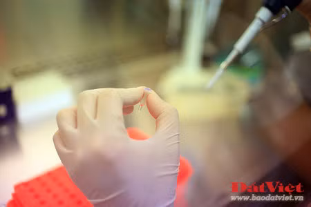 Phòng giám đinh nhận dạng ADN của Viện Pháp y Quân đội được chuyển giao kỹ thuật từ phòng giám đinh nhận dạng ADN của quân đội Mỹ (Armed Force DNA Identification Laboratory - AFDIL), và trước đó là của Viện Công nghệ Sinh học - thuộc Viện Khoa học Việt Nam. Nơi đây trang bị hàng chục loại máy móc hiện đại khác nhau như máy nhân gien, máy li tâm, máy điện di, máy giải trình tự AND… Có hai phương pháp phân tích ADN thường được sử dụng, đó là phân tích ADN nhân và phân tích ADN ty thể, trong đó phương pháp thứ hai đang được lựa chọn sử dụng trong giám định hài cốt liệt sĩ ở Viện Pháp y Quân đội. Việc thực hiện giám định được thực hiện trên cơ sở lấy mẫu ADN từ hài cốt liệt sĩ để đối chiếu với mẫu thân nhân - được lấy của những người có quan hệ theo dòng mẹ với liệt sĩ. Quá trình tách chiết mẫu sinh phẩm từ hài cốt là khâu quan trọng, quyết định sự thành công hay thất bại của quá trình phân tích ADN. Mẫu sinh phẩm sau khi tách chiết được chứa trong những lọ nhỏ xếp trong khay. Sau khi tách chiết, mẫu được đưa vào máy giải trình tự ADN – được coi là “linh hồn” của Labo, được kết nối với máy tính. Chiếc máy này có thể xử lý cùng lúc nhiều mẫu sinh phẩm. Kết quả của quá trình giải trình tự ADN sẽ hiển thị trên máy tính, từ đó các chuyên gia sẽ đối chiếu để xác định hài cốt có đúng là liệt sĩ của gia đình yêu cầu thực hiện giám định hay không. So với phương pháp phân tích ADN nhân, phân tích ADN ty thể là phương pháp đạt tỉ lệ chính xác cao hơn, nhưng cũng rất phức tạp và tốn kém hơn nhiều. Chỉ tính riêng chi phí dành cho các loại hóa nhất nhập từ nước ngoài đã lên đến 10-15 triệu đồng cho mỗi ca giám định. Thời gian để hoàn thành mỗi ca giám định kéo dài 4 – 6 tuần. Theo ThS. Nguyễn Lê Cát, có rất nhiều trường hợp thân nhân liệt sĩ mang mẫu đến giám định tại Viện Pháp y Quân đội dựa vào phương pháp ngoại cảm - một phương pháp có lẽ được áp dụng duy nhất tại Việt Nam, không có bất cứ một nước nào trên thế giới áp dụng. Một số gia đình đã đem đến những mẩu xương tìm được bằng phương pháp ngoại cảm, được cho là của liệt sĩ, nhưng thực chất không phải xương người. Tỉ lệ chính xác của phương pháp xác định hài cốt liệt sĩ bằng ngoại cảm là rất thấp. Việc giám định gien là phương pháp đáng tin cậy nhất nhất giúp gia đình liệt sĩ xác định đúng danh tính người thân để đưa về nơi chôn rau cắt rốn. Đó là niềm hạnh phúc vô cùng to lớn đối với gia đình và họ hàng của liệt sĩ. Có thể ví von, mỗi ca giám định thành công là một sự “khai sinh lần thứ hai” đối với liệt sĩ. Chị Nguyễn Thị Hoa, một nhân viên giám định của Viện Pháp y Quân đội chia sẻ về công việc của mình: “Đây là một việc làm rất thiết thực với các gia đình liệt sĩ nói riêng, cũng như toàn thể xã hội nói chung. Tôi rất yêu quý và trân trọng công việc mà mình đang được giao phó”.