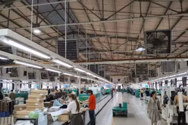 Lào Cai công khai 6 doanh nghiệp vi phạm đất đai bị xử phạt 