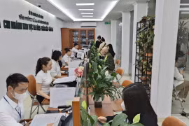 Chuyên gia: Giữ nguyên mô hình Văn phòng đăng ký đất đai và chi nhánh là hợp lý, sát thực tiễn quản lý
